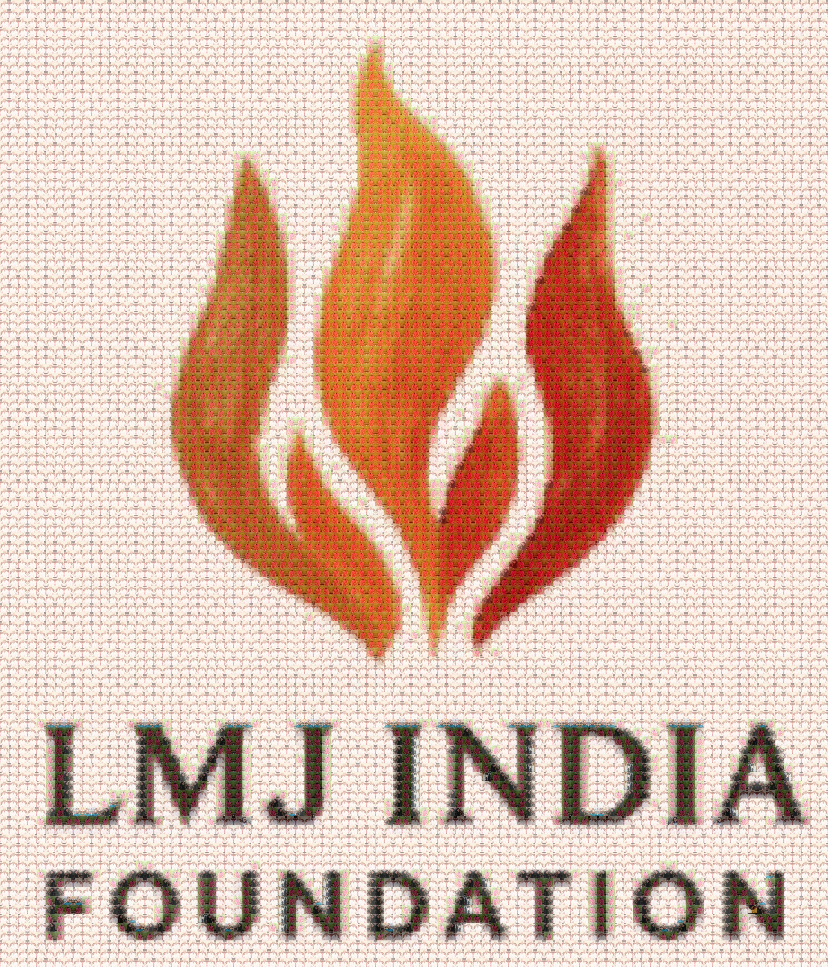 LMJ India Foundation Logo